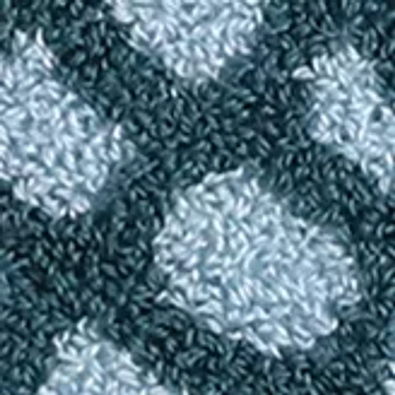 Sancti Petri Fish Pillow