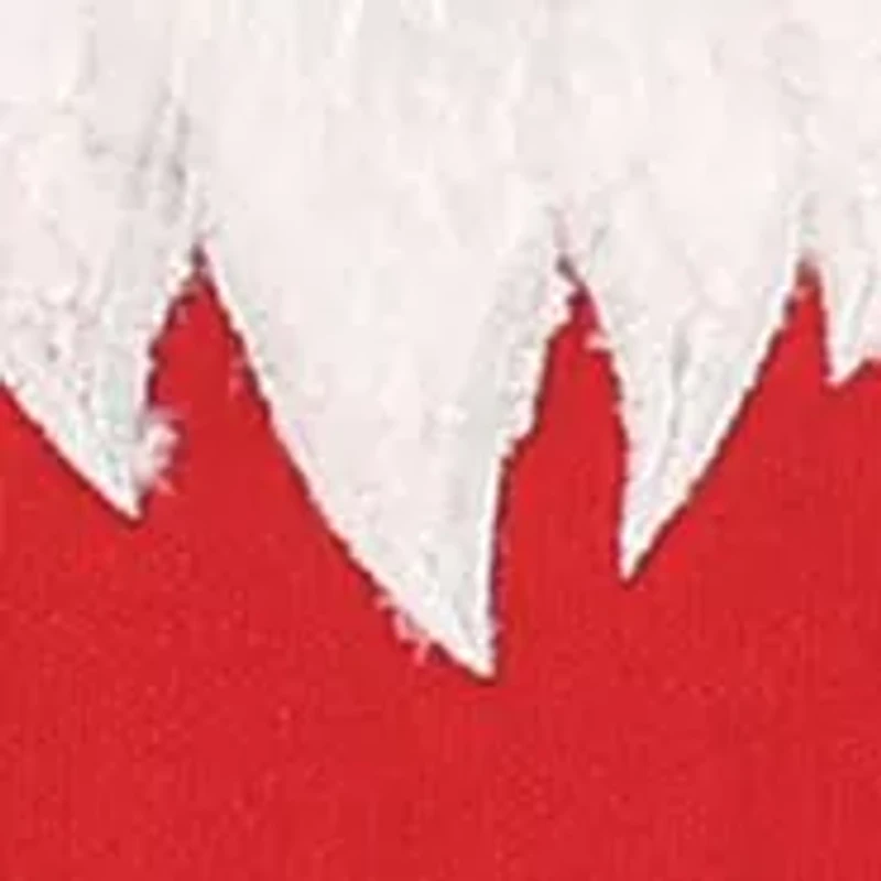 Road Trip Gnomes Pillow