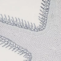 St Bart Stripe Starfish Pillow