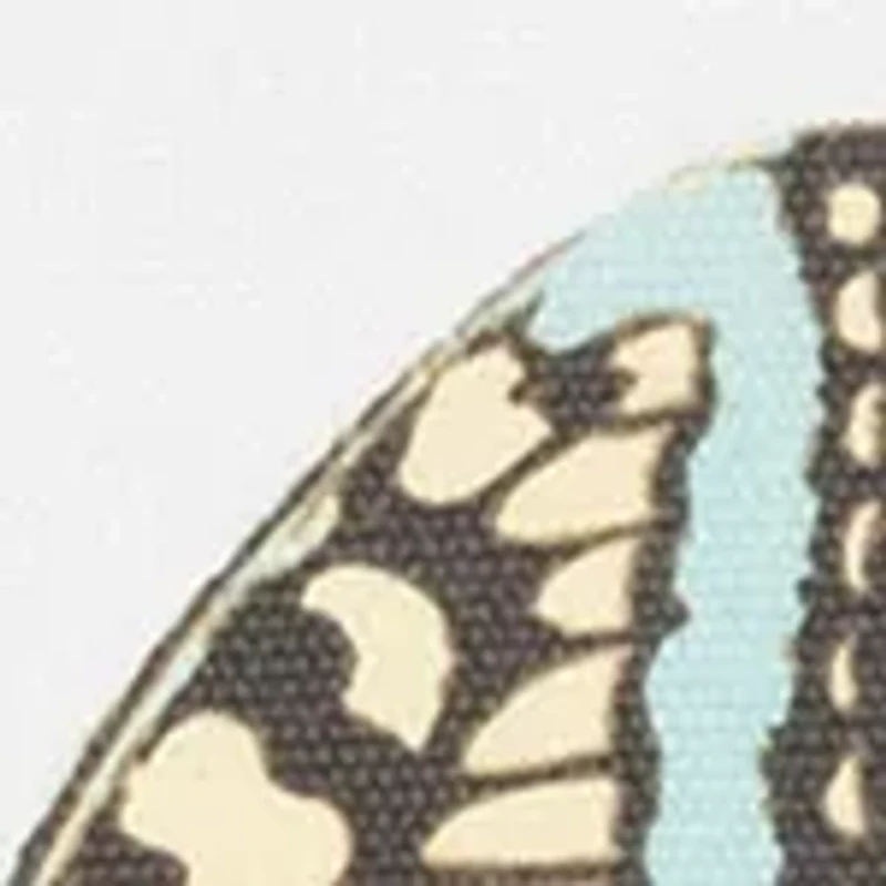 Octavio Butterfly Pillow