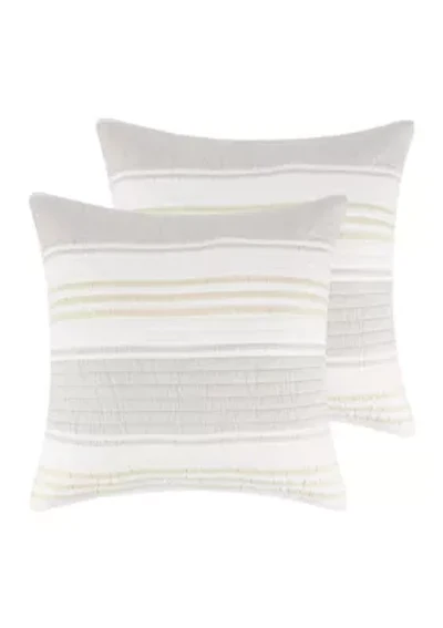 Caspian Sea Euro Sham 2 Pack