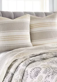 Caspian Sea Euro Sham 2 Pack