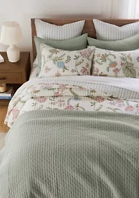 Chantae Euro Sham Set of 2