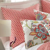 Clementine Spring Euro Sham 2pk