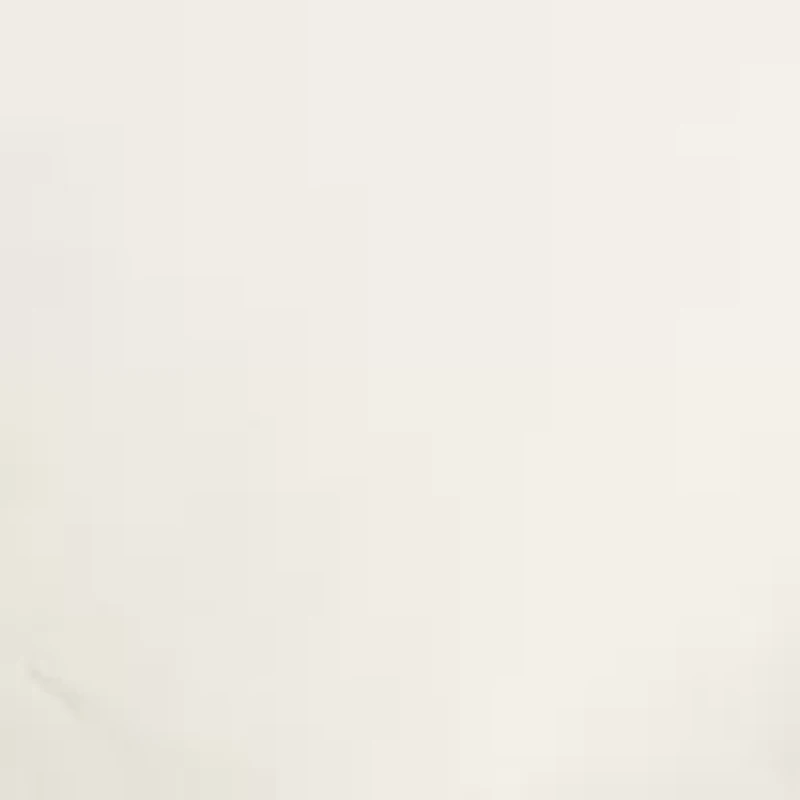 Down Alternative Blanket