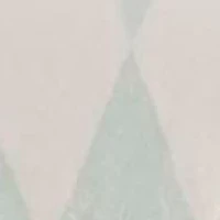 Green Printed Plush Throw Blanket