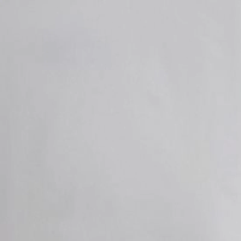 Light Warmth White Goose Feather Down Fiber Comforter