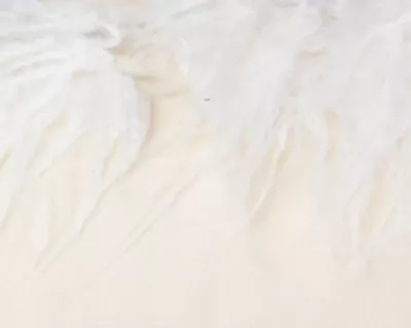 Red Gnome 14X20 Poly Filled Holiday Pillow