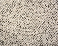 Green Fringe Poly/Boucle 50x60 Throw Blanket