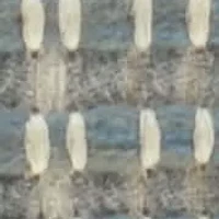 Green Stripe 18x18 Pillow