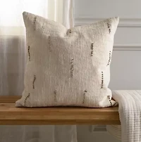 Blush Abstract 20x20 Pillow