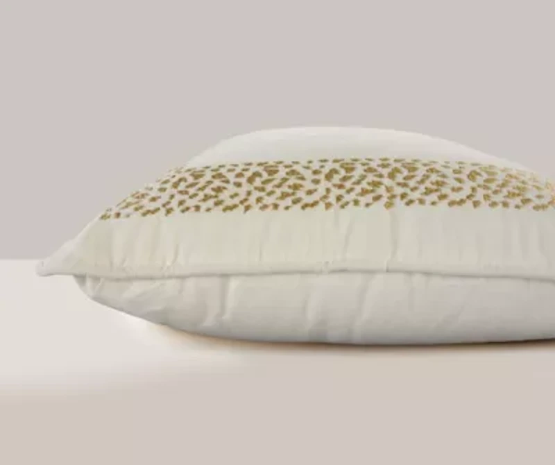 Gold Framed 22x22 Pillow