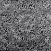 Rio Collection Bedspread Set with Shams