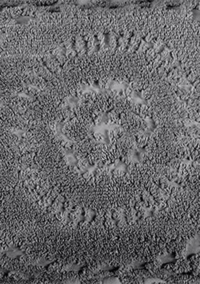 Rio Collection Bedspread Set with Shams