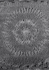 Rio Collection Bedspread Set with Shams