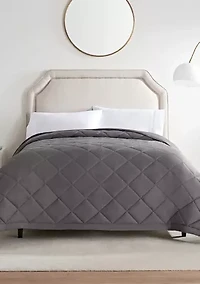 Down Alternative Blanket