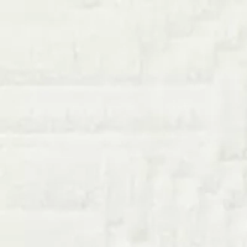 Solid Menagerie Pillow