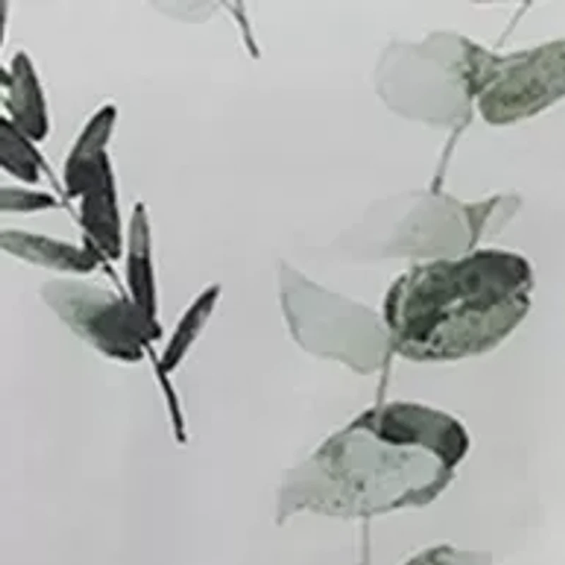 Eucalyptus Combed Cotton Comforter Set