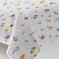 Pointehaven 200 Thread Count Cotton Percale Print Quilt Sets