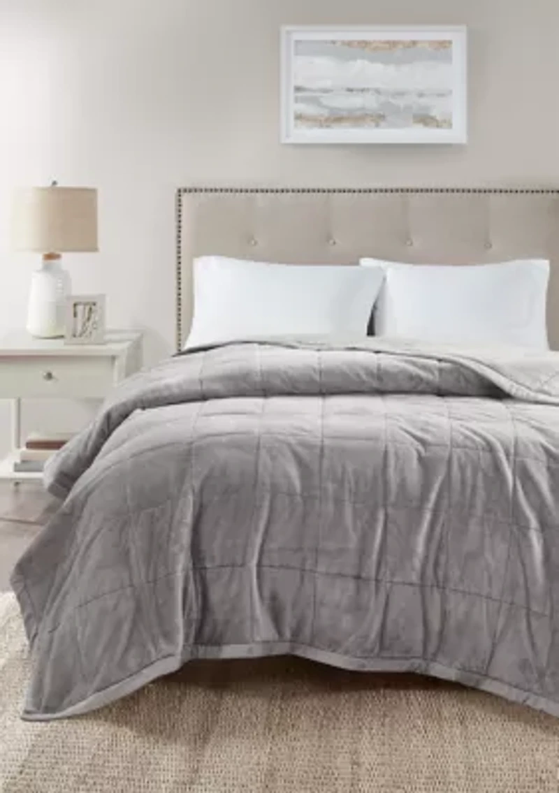 Coleman Reversible Down Alternative Blanket