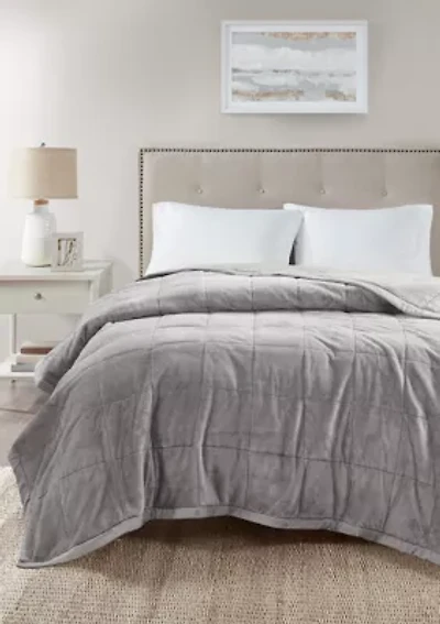 Coleman Reversible Down Alternative Blanket