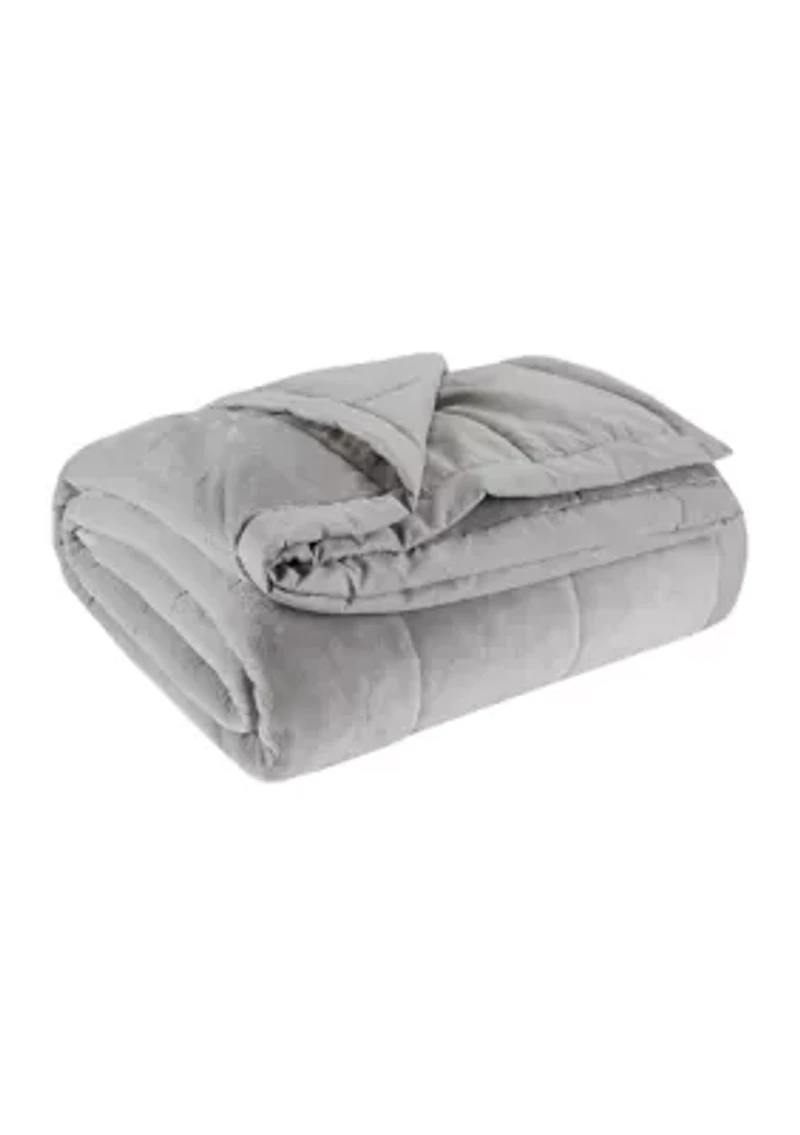 Coleman Reversible Down Alternative Blanket