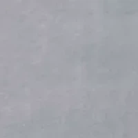 Microlight Plush Oversized Blanket