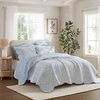 Darcy 3 Piece Print Quilt Set