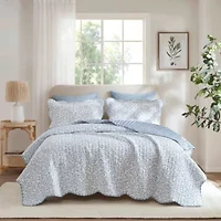 Darcy 3 Piece Print Quilt Set