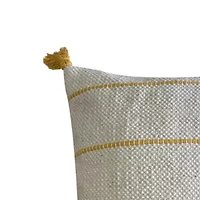 Mara Cotton Decorative Throw Pillow 18x18"