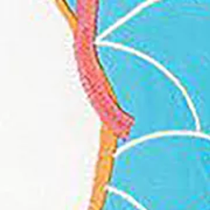 Summer Flip Flops Pillow