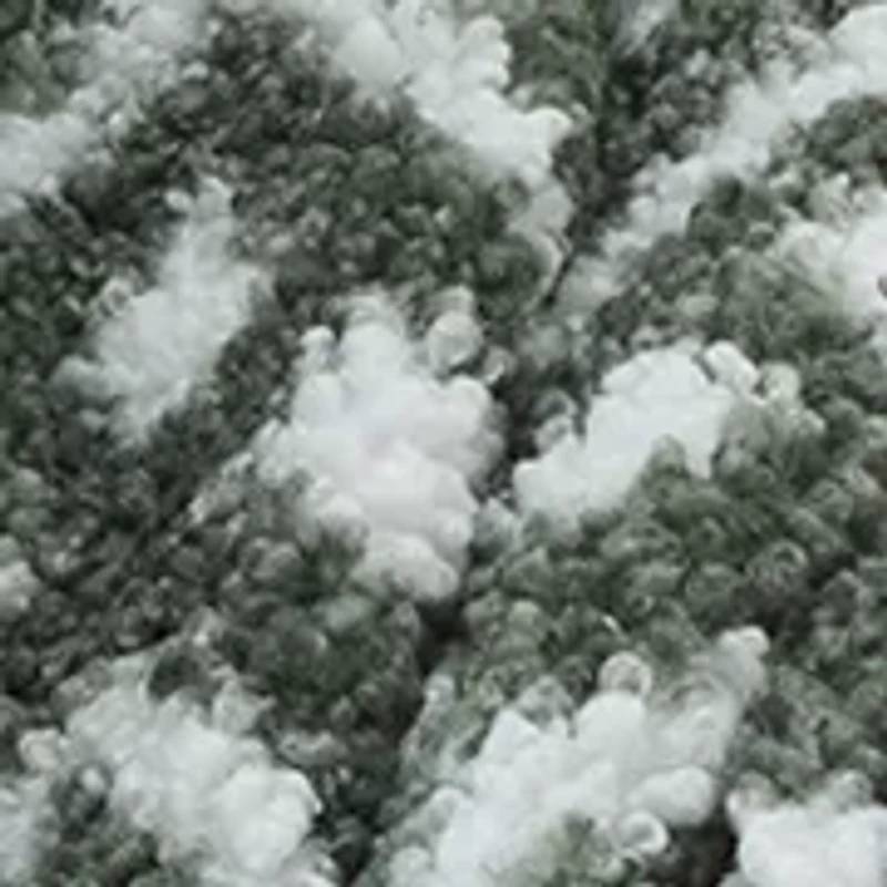 Olive Green Printed Teddy Wool Throw Blanket