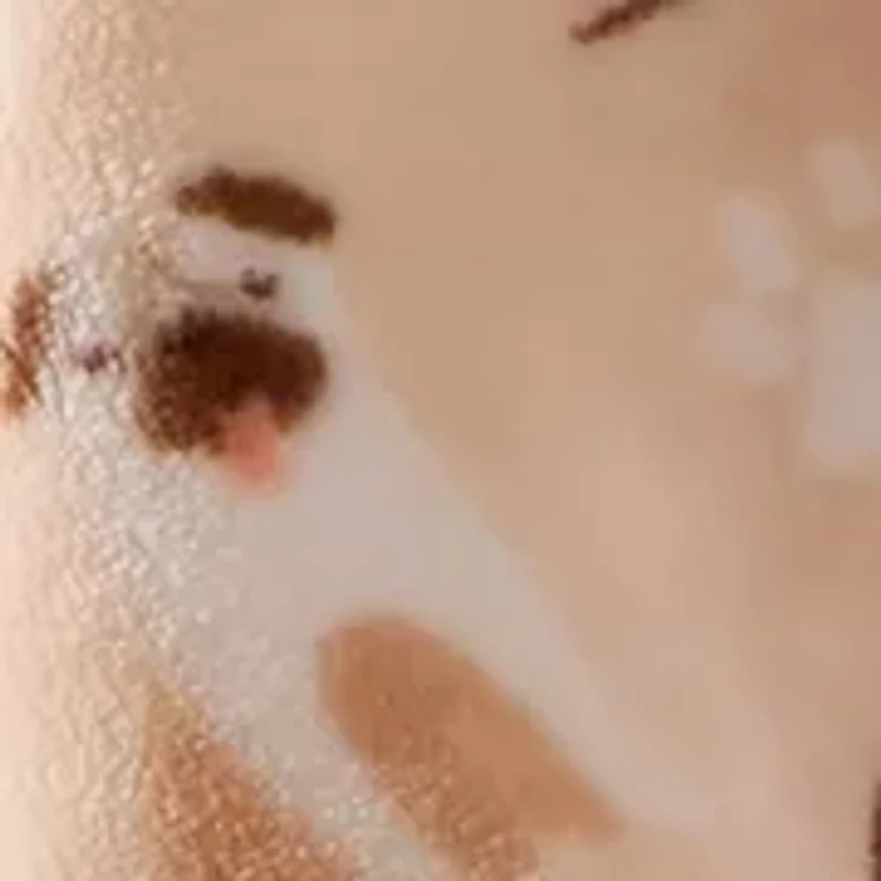 Dog Lux Velvet Throw Blanket