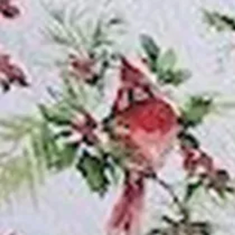 Cardinal Quilt Set