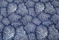 Blue Coral Jaquard Full/Queen 3-Piece Quilt Set