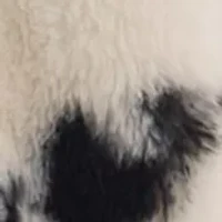 Round Rock Faux Fur Print Throw