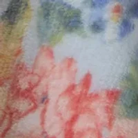 Multi Floral Plush Throw Blanket