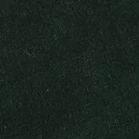  Layton Green Velvet Rectangle Pillow