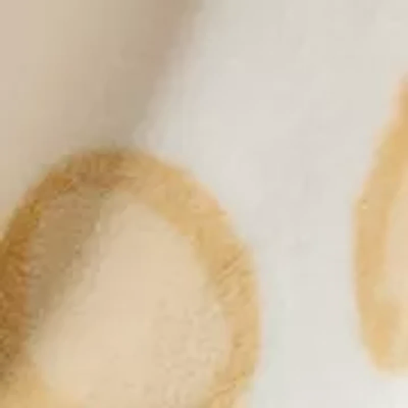 Belkie Bear Plush Throw Blanket