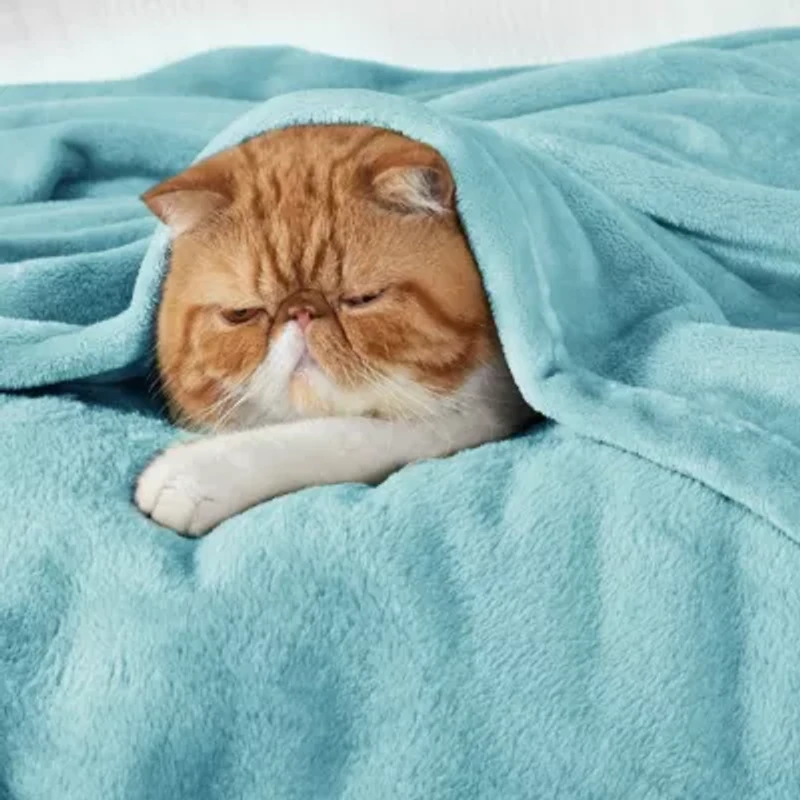 Flannel Plush Blanket