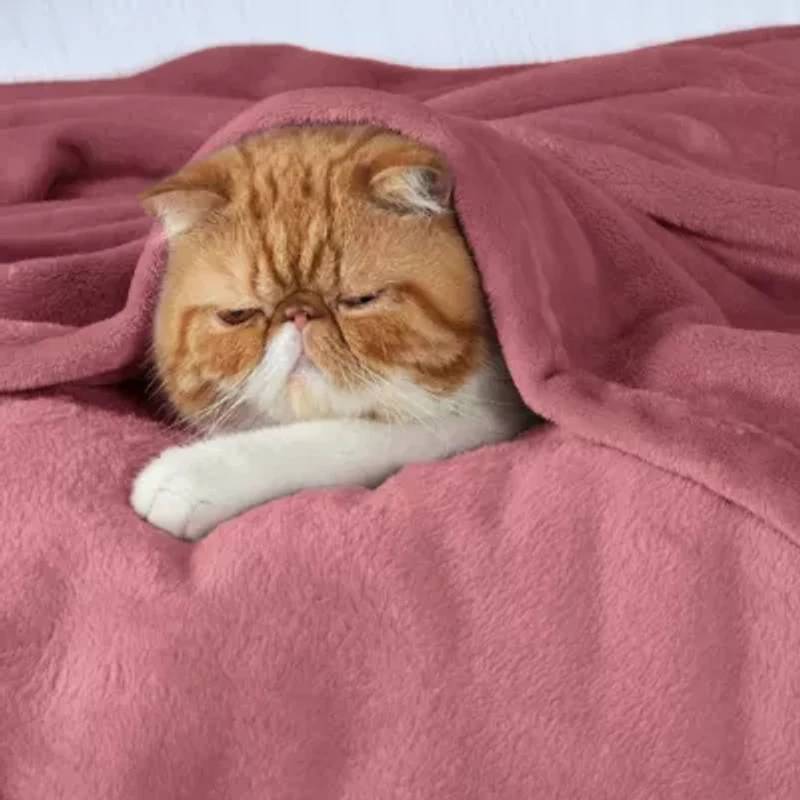 Flannel Plush Blanket