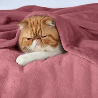 Flannel Plush Blanket