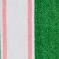 Flamingo Beach Towel - 35x70