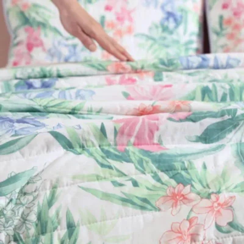 Island Orchid 100% Cotton Quilt-Sham Set