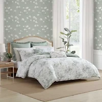 Toile Delight Cotton Comforter Sham Bonus Set