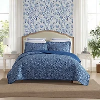 Elaina Cotton Quilt-Sham Set