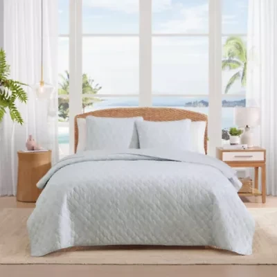 Line Palms Cotton Quilt Set