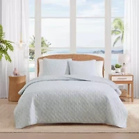 Line Palms Cotton Quilt Set