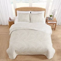 Pebble Palms Cotton Quilt Set