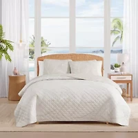 Pebble Palms Cotton Quilt Set